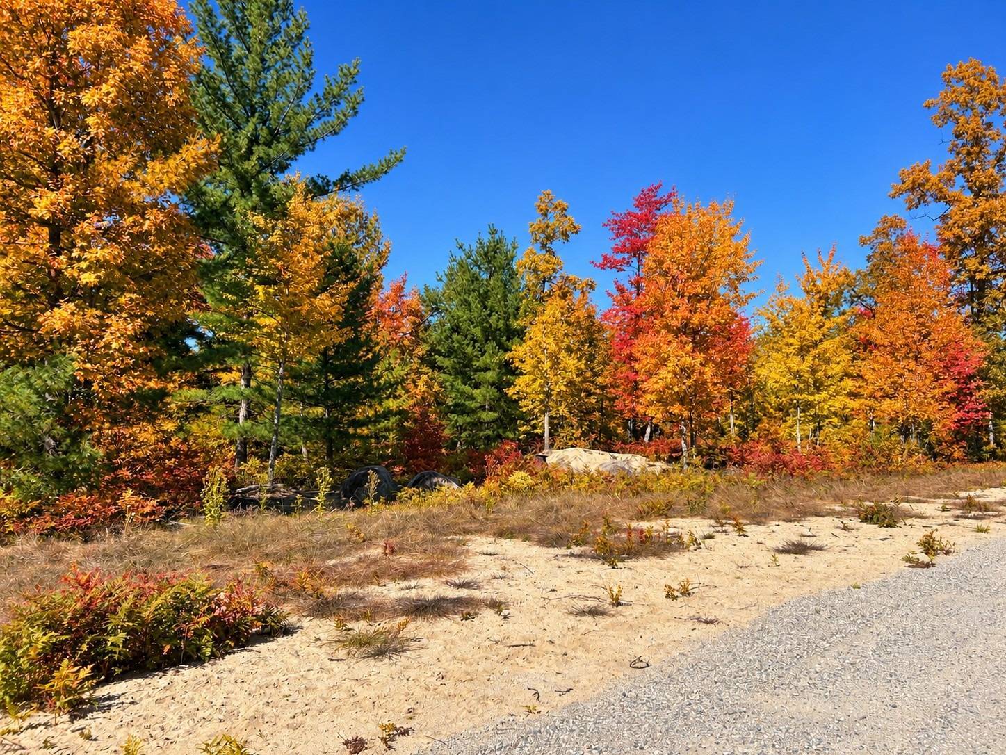 12.4 acres in Ogemaw County, MI: hunting land for sale near Prescott, MI
