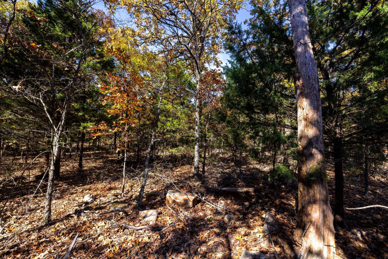 5-Acre Hunting Land for Sale, Sequoyah County, OK, photo 3 of 3
