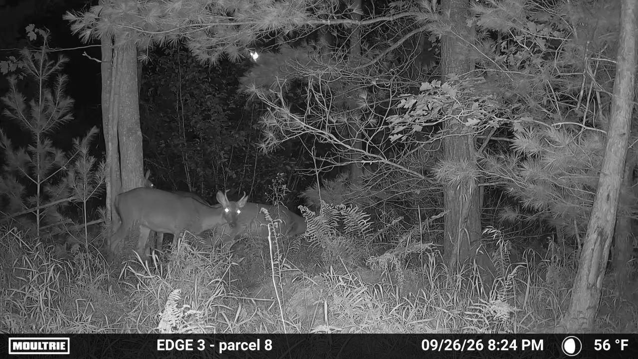 Photo 5 of 46 of land for sale at V/L Parcel 8 Down to Earth Way, Prescott, MI 48756