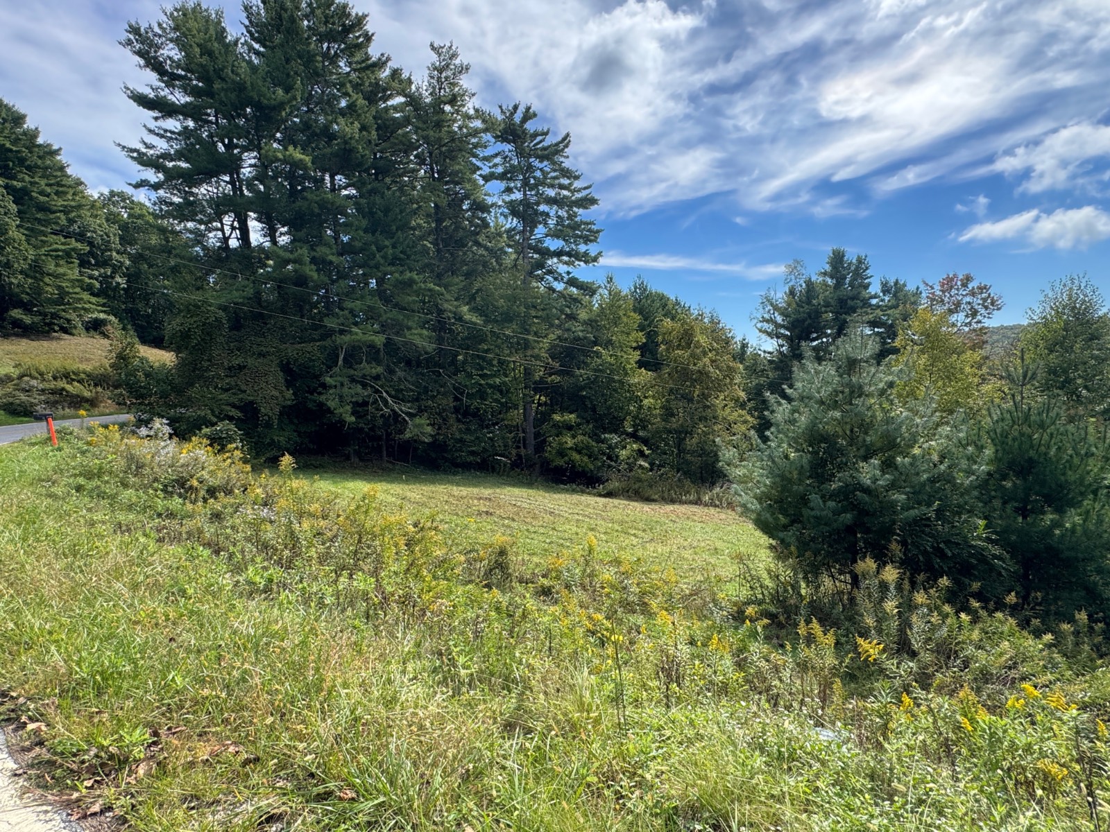 Photo 3 of 3 of land for sale at 215 Spanish Oak Rd, Newland, NC 28657
