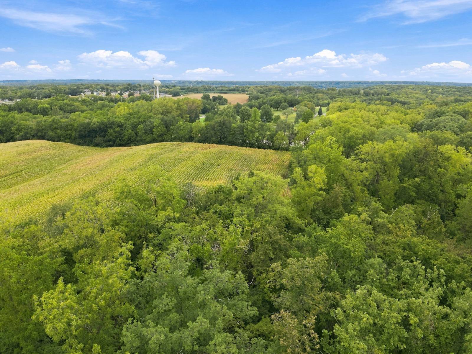 52.8-Acre Hunting Land for Sale, Rock Island County, IL, photo 3 of 16