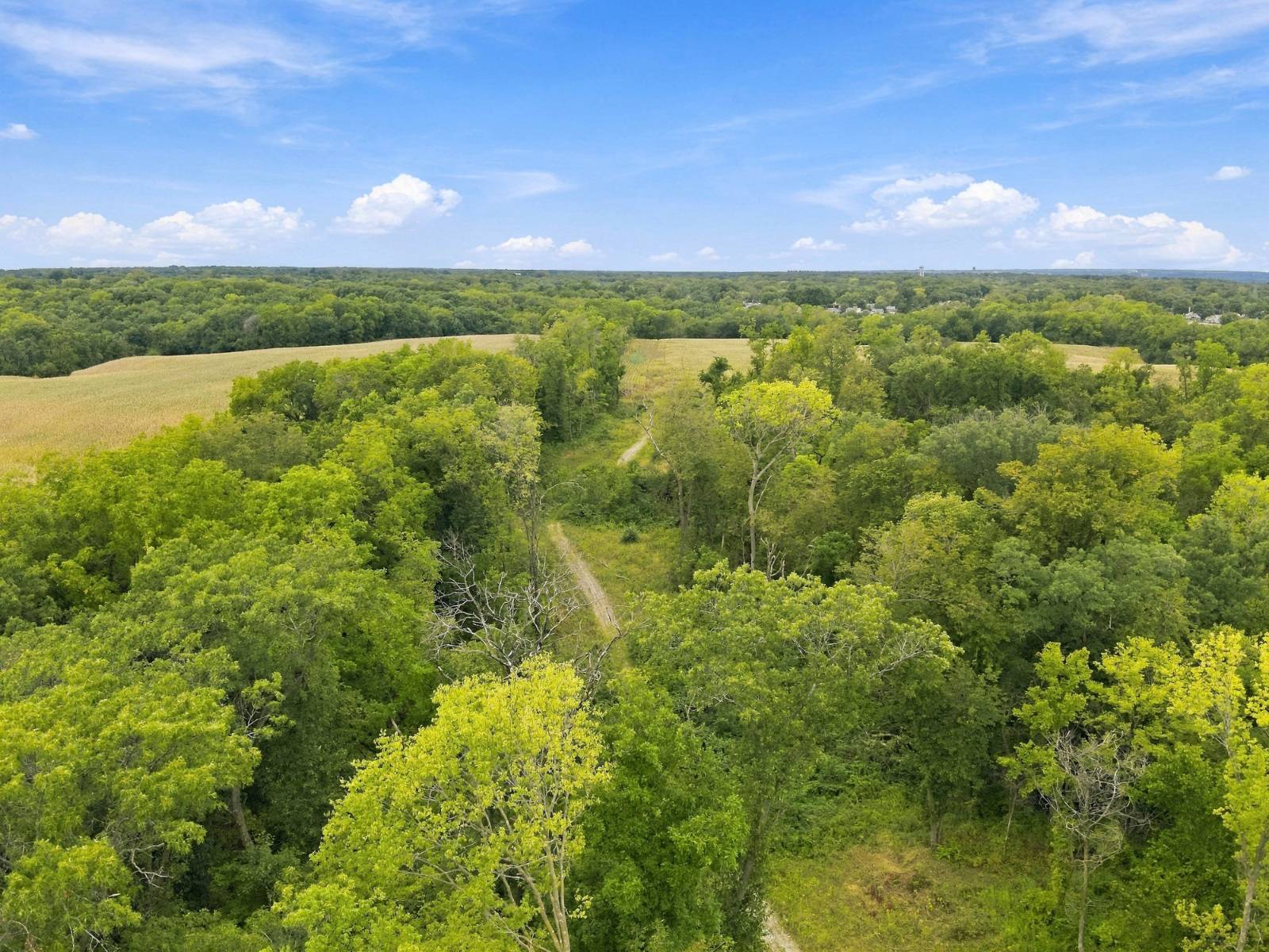 52.8-Acre Hunting Land for Sale, Rock Island County, IL, photo 2 of 16