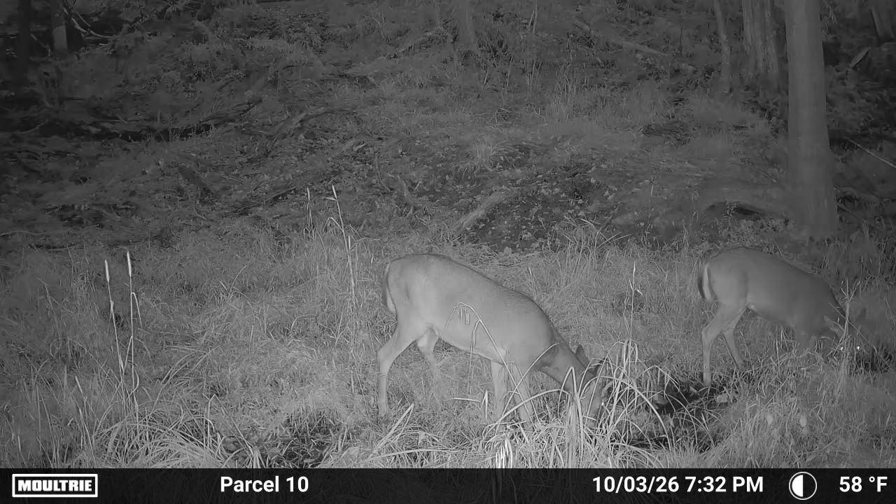 Photo 5 of 53 of land for sale at V/L Parcel 10 Down to Earth Way, Prescott, MI 48756