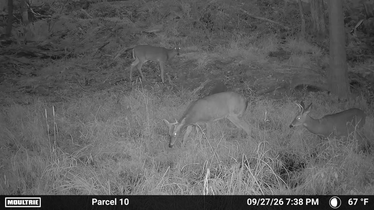 Photo 4 of 53 of land for sale at V/L Parcel 10 Down to Earth Way, Prescott, MI 48756