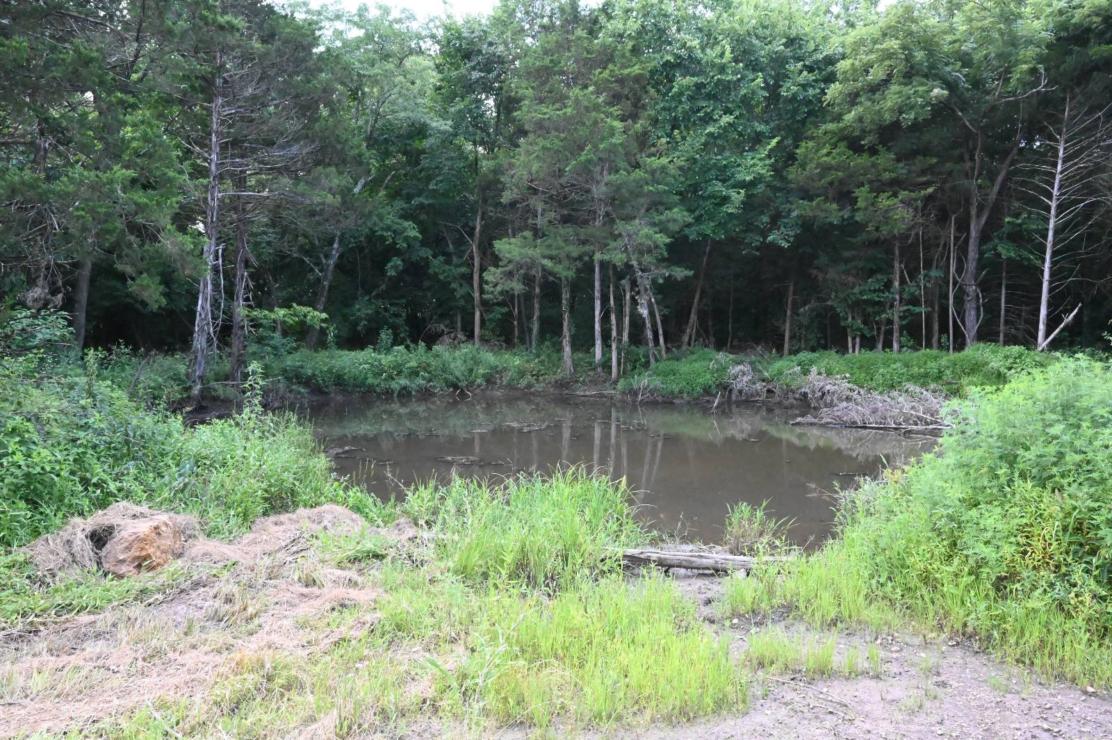 50.4-Acre Hunting Land for Sale, Polk County, MO, photo 3 of 37