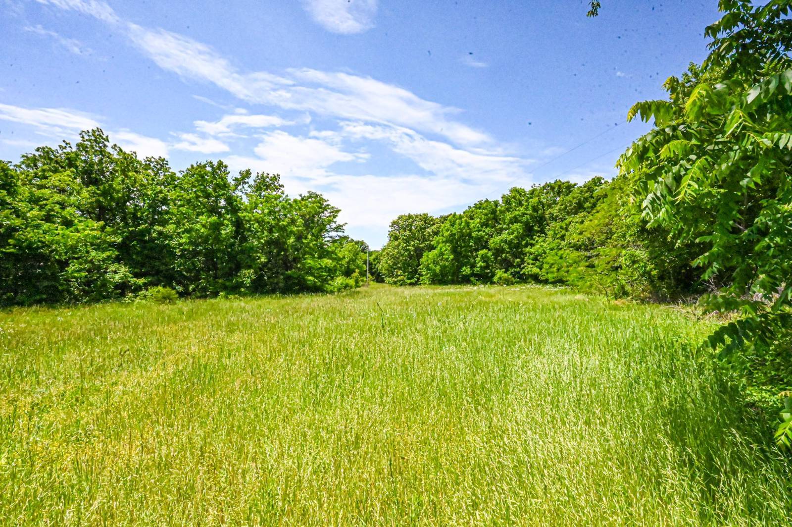 50.4-Acre Hunting Land for Sale, Polk County, MO, photo 2 of 37