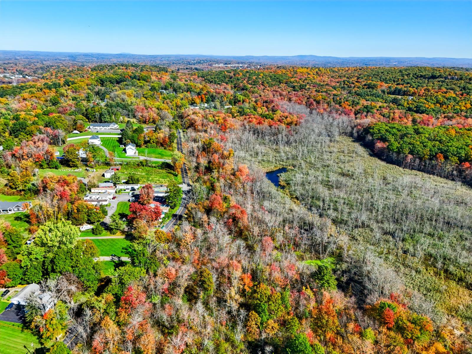 39.3-Acre Hunting Land for Sale, Dutchess County, NY, photo 3 of 43