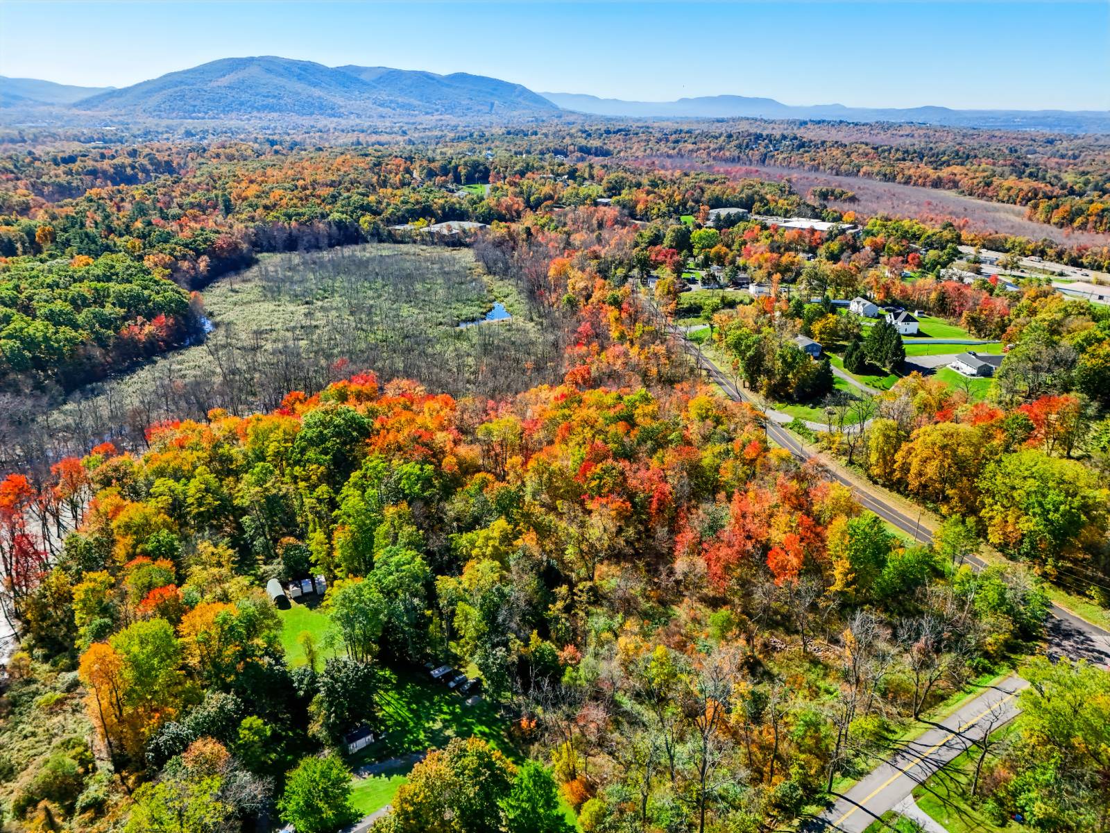 39.3-Acre Hunting Land for Sale, Dutchess County, NY, photo 2 of 43