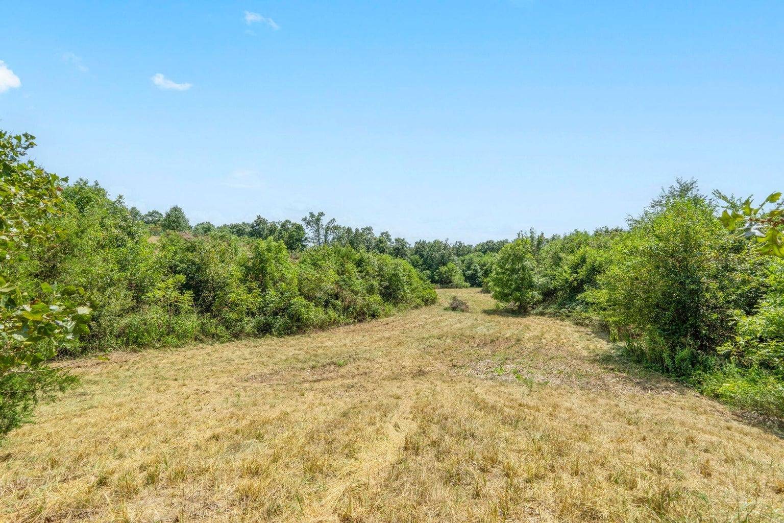 Photo 3 of 4 of land for sale at TBD Swinson Dr, Galena, MO 65656