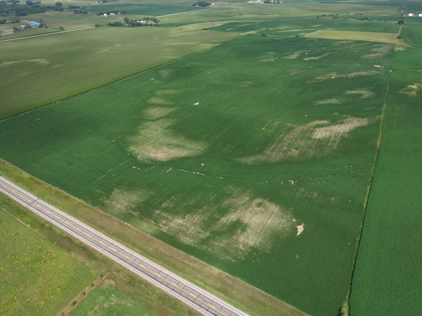 Photo 1 of 5 of land for sale at 1 1111, Rock Rapids, IA 51246