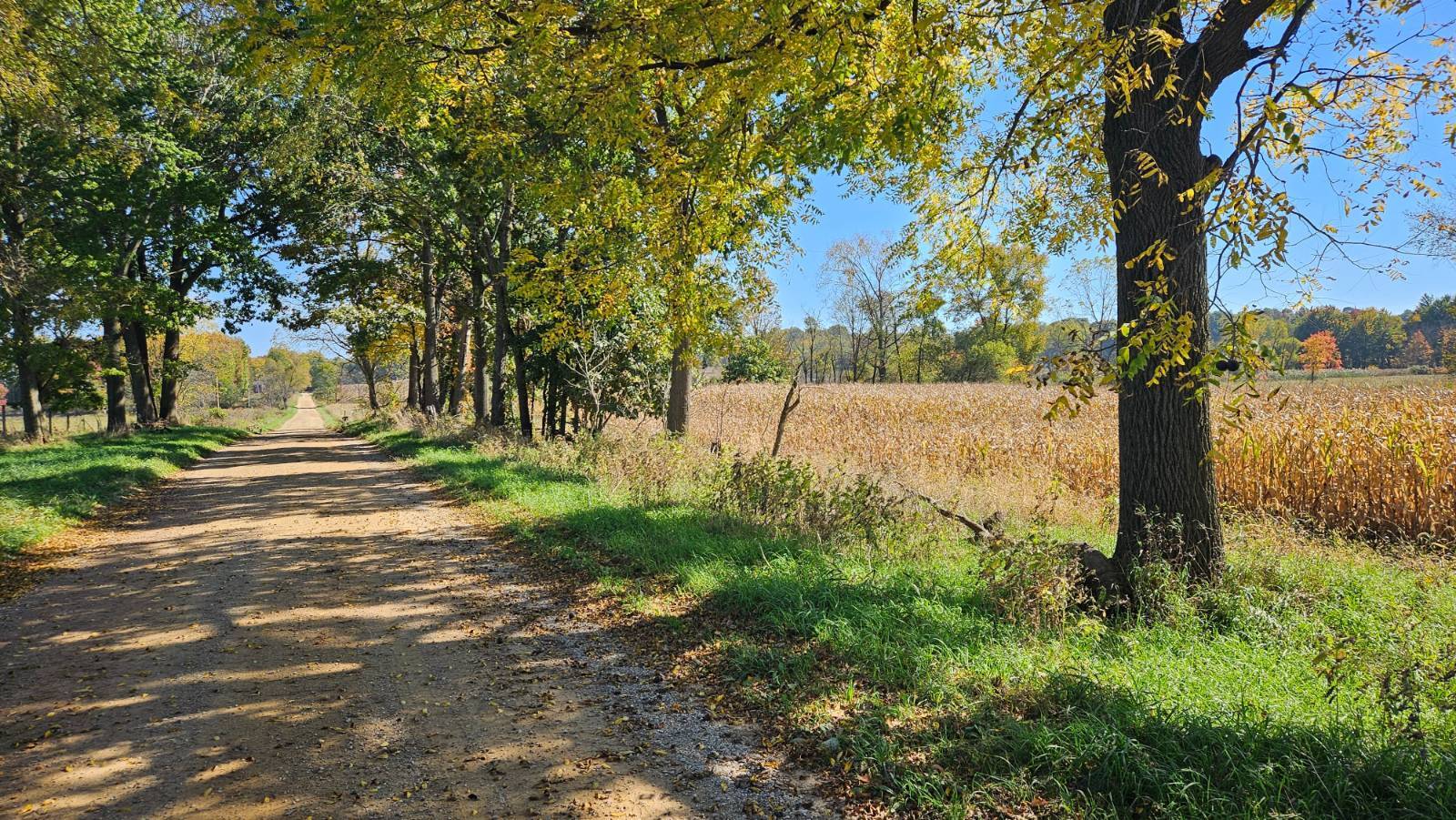 40-Acre Hunting Land for Sale, Cass County, MI, photo 3 of 17