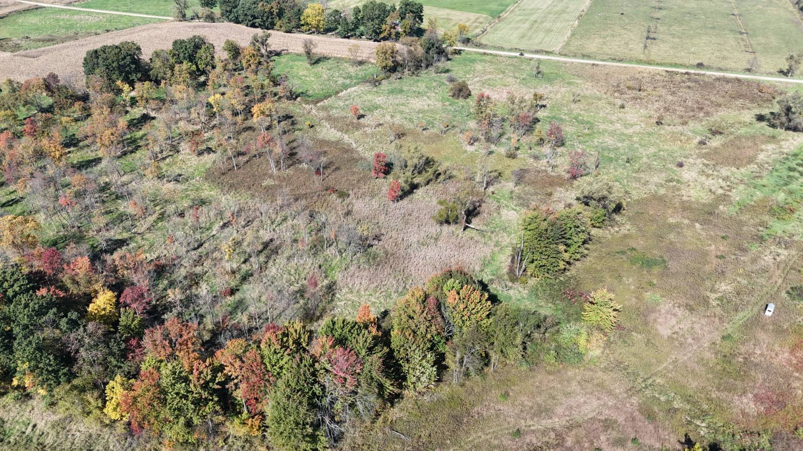 40 acres in Cass County, MI: hunting land for sale near Vandalia, MI