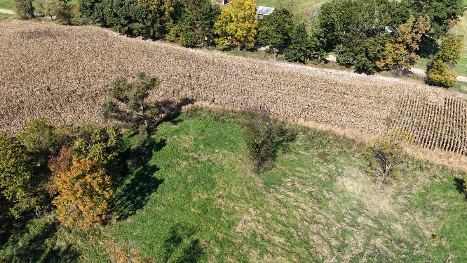 40-Acre Hunting Land for Sale, Cass County, MI, photo 2 of 17