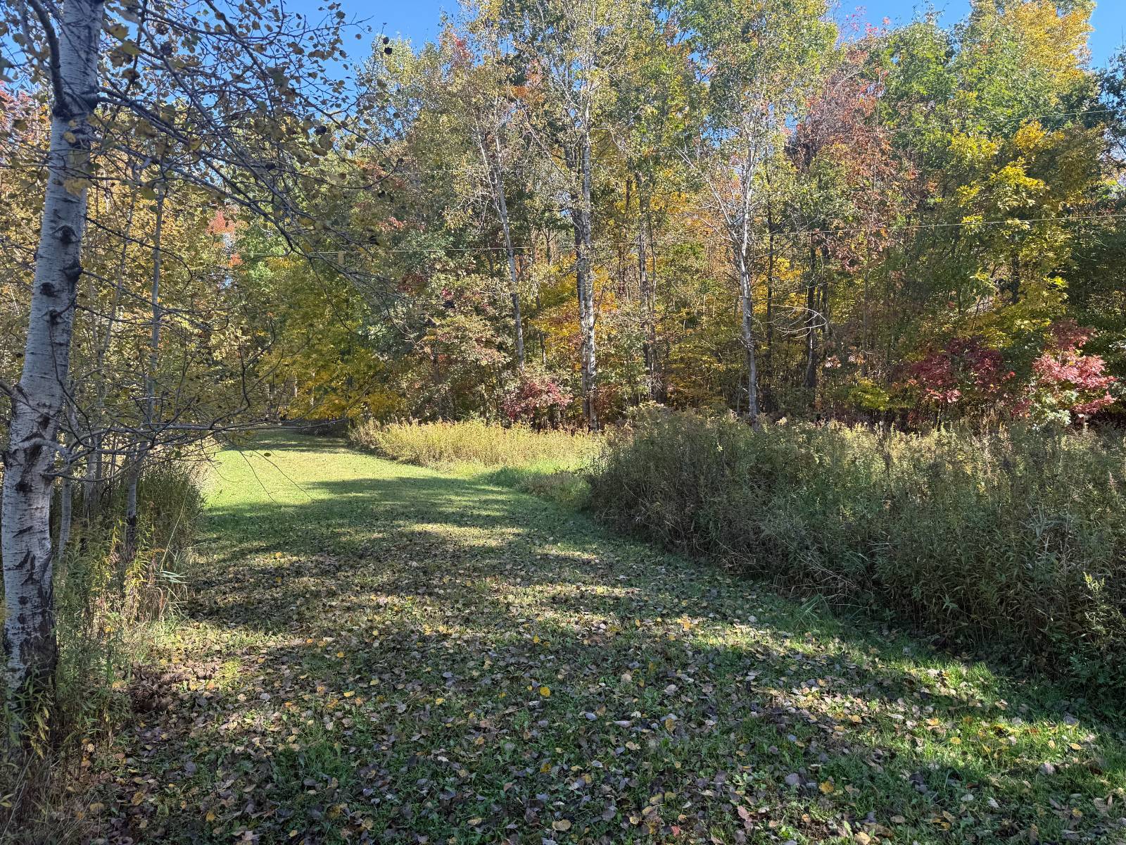 8-Acre Hunting Land for Sale, Warren County, PA, photo 3 of 27