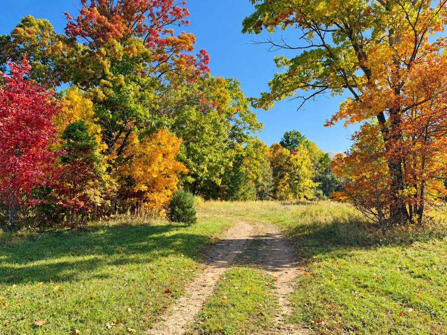 8 acres in Warren County, PA: hunting land for sale near Grand Valley, PA