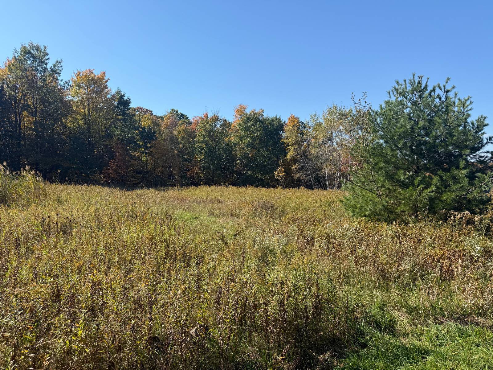 8-Acre Hunting Land for Sale, Warren County, PA, photo 2 of 27