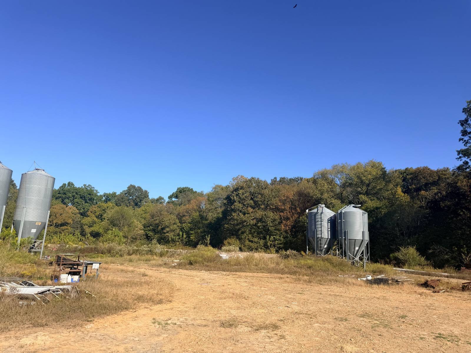 Photo 3 of 4 of land for sale at 821 Possum Hollow Rd, Dierks, AR 71833