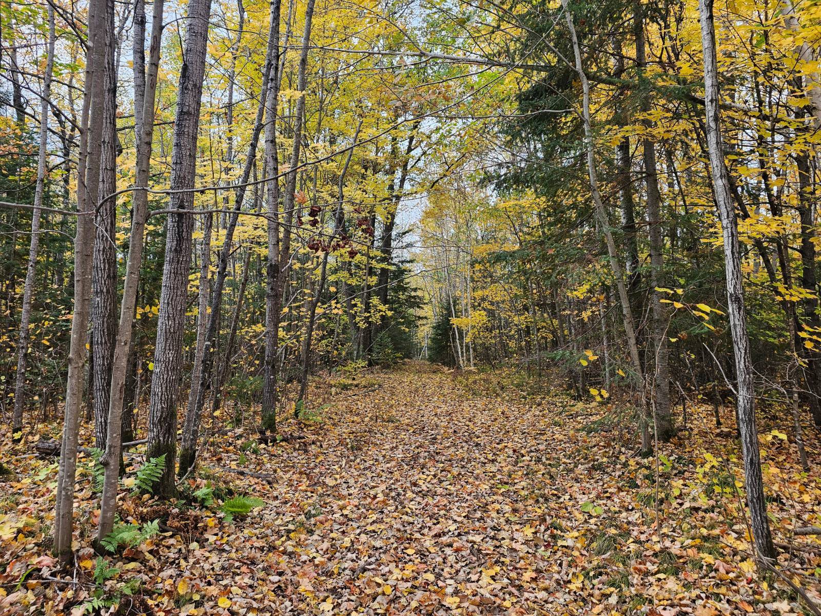 Photo 5 of 12 of land for sale at 18 Star Lake Rd #Lot #18, Crandon, WI 54520