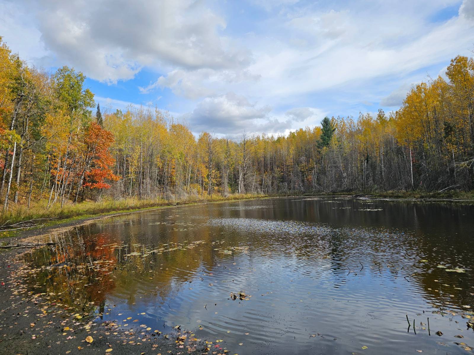 5 acres in Forest County, WI: hunting land for sale near Crandon, WI
