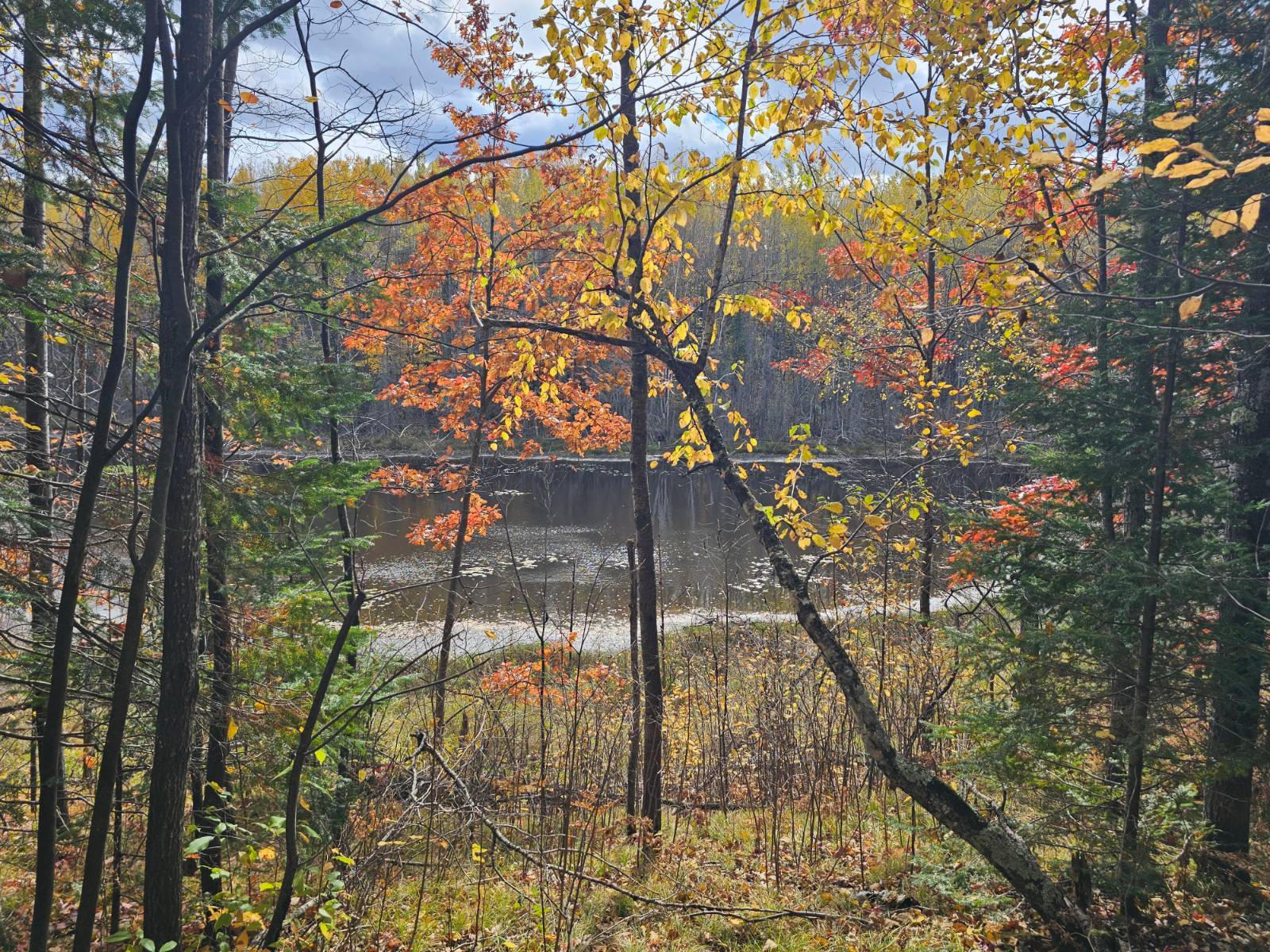 5-Acre Hunting Land for Sale, Forest County, WI, photo 2 of 12