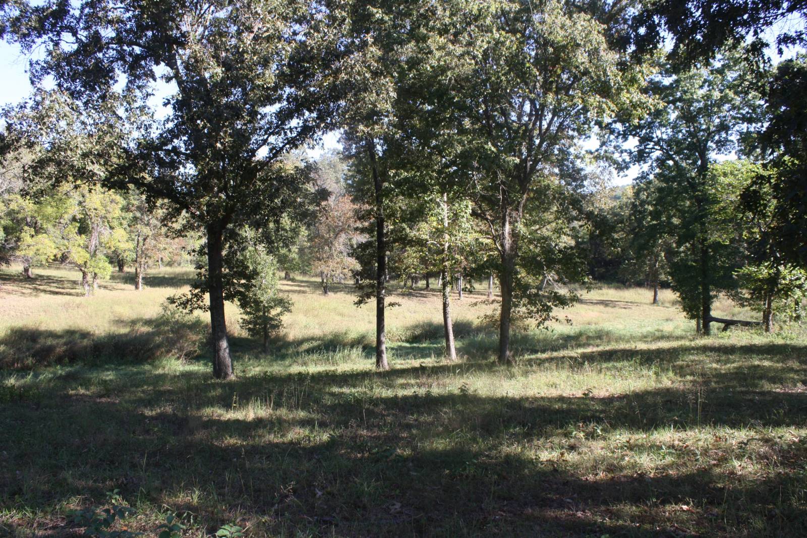 Photo 1 of 3 of land for sale at 790-01846-003 E George Stice Avenue, Summit, AR 72687