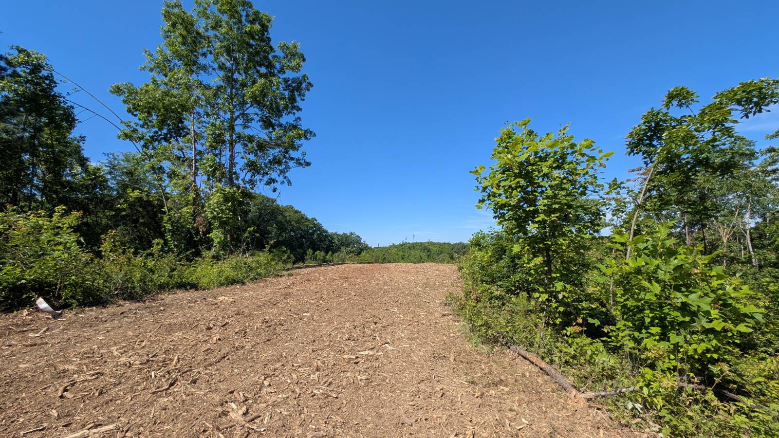 Photo 1 of 19 of land for sale at 0 Mills Road, South Bloomingville, OH 43152