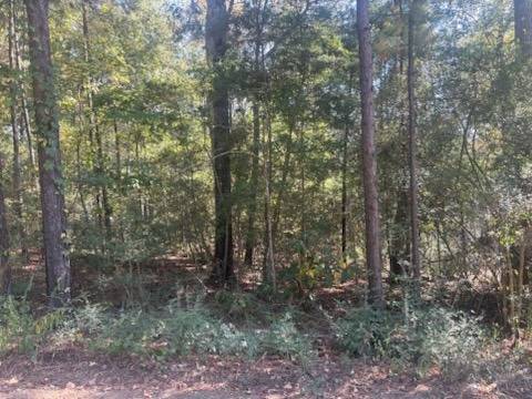 Photo 4 of 4 of land for sale at TBD Holly Street #59, Many, LA 71449