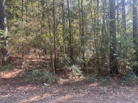Photo 2 of 4 of land for sale at TBD Holly Street #59, Many, LA 71449