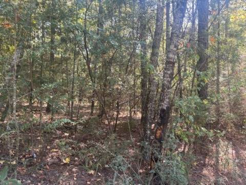 Photo 1 of 4 of land for sale at TBD Holly Street #59, Many, LA 71449