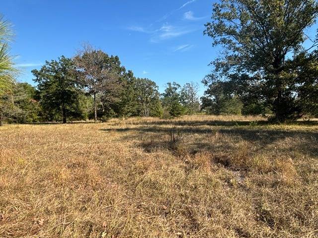Photo 3 of 3 of land for sale at TBD Pitt Road, Many, LA 71449
