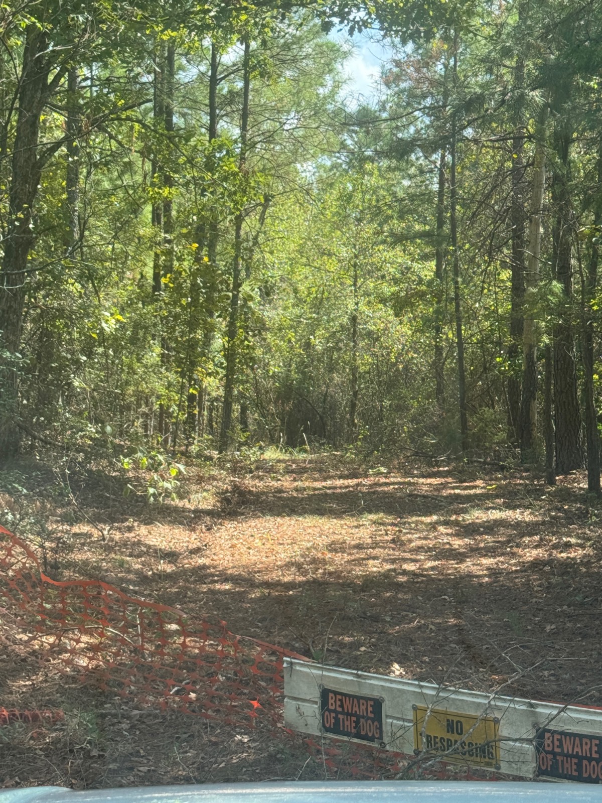Photo 4 of 4 of land for sale at 1866 Green Acres Road, Idabel, OK 74745