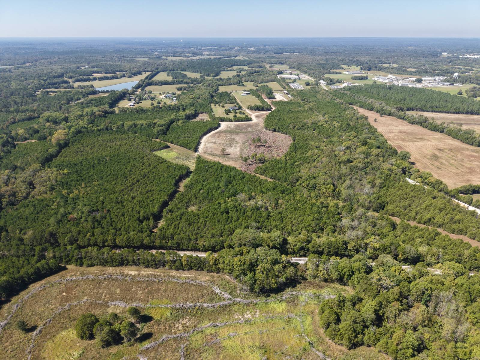 82.6-Acre Hunting Land for Sale, Marengo County, AL, photo 2 of 36