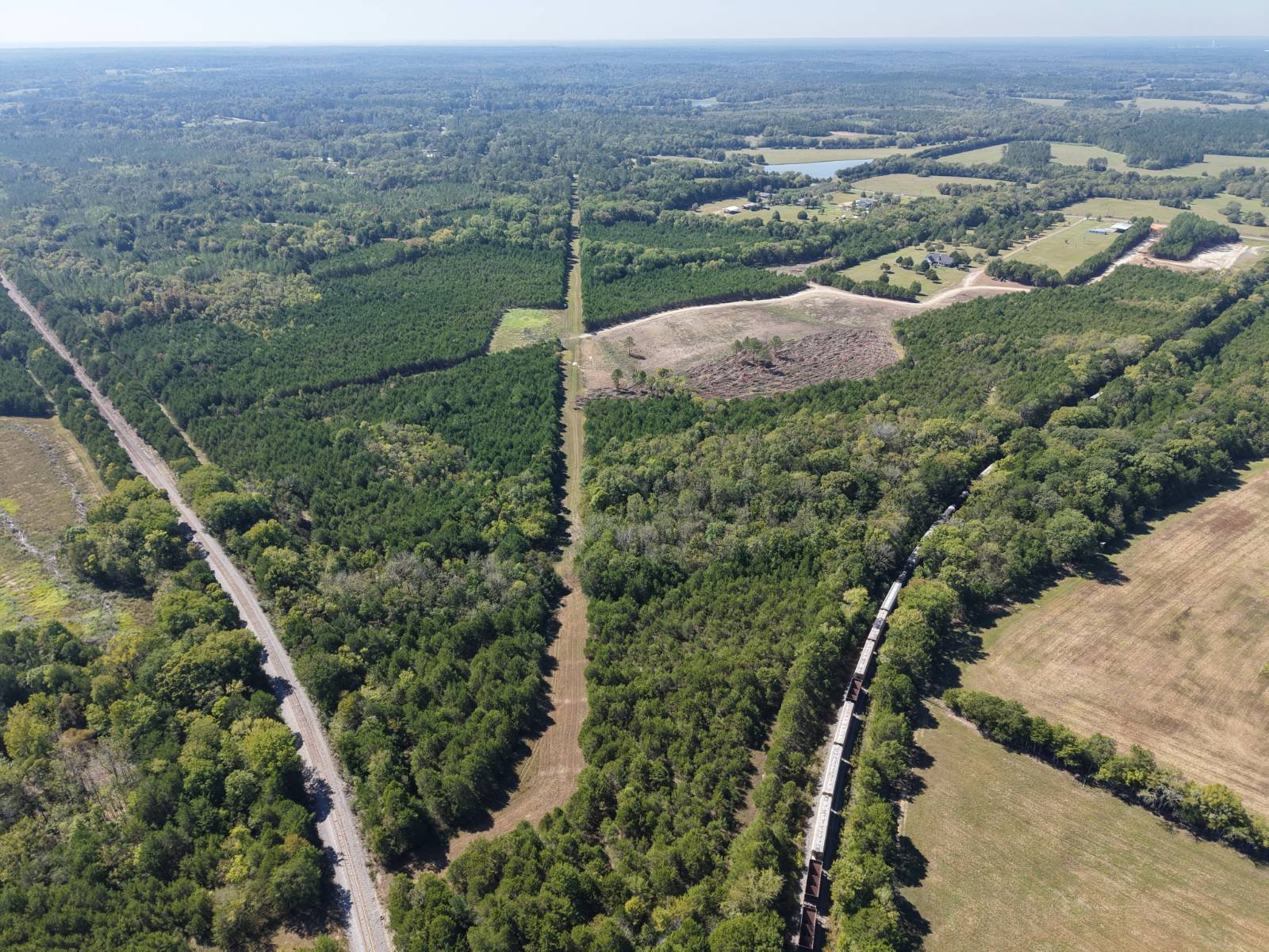82.6-Acre Hunting Land for Sale, Marengo County, AL, photo 3 of 36