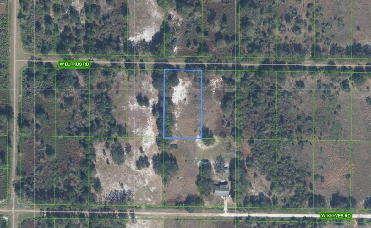 Photo 3 of 4 of land for sale at 2859 W Butkus Road, Avon Park, FL 33825