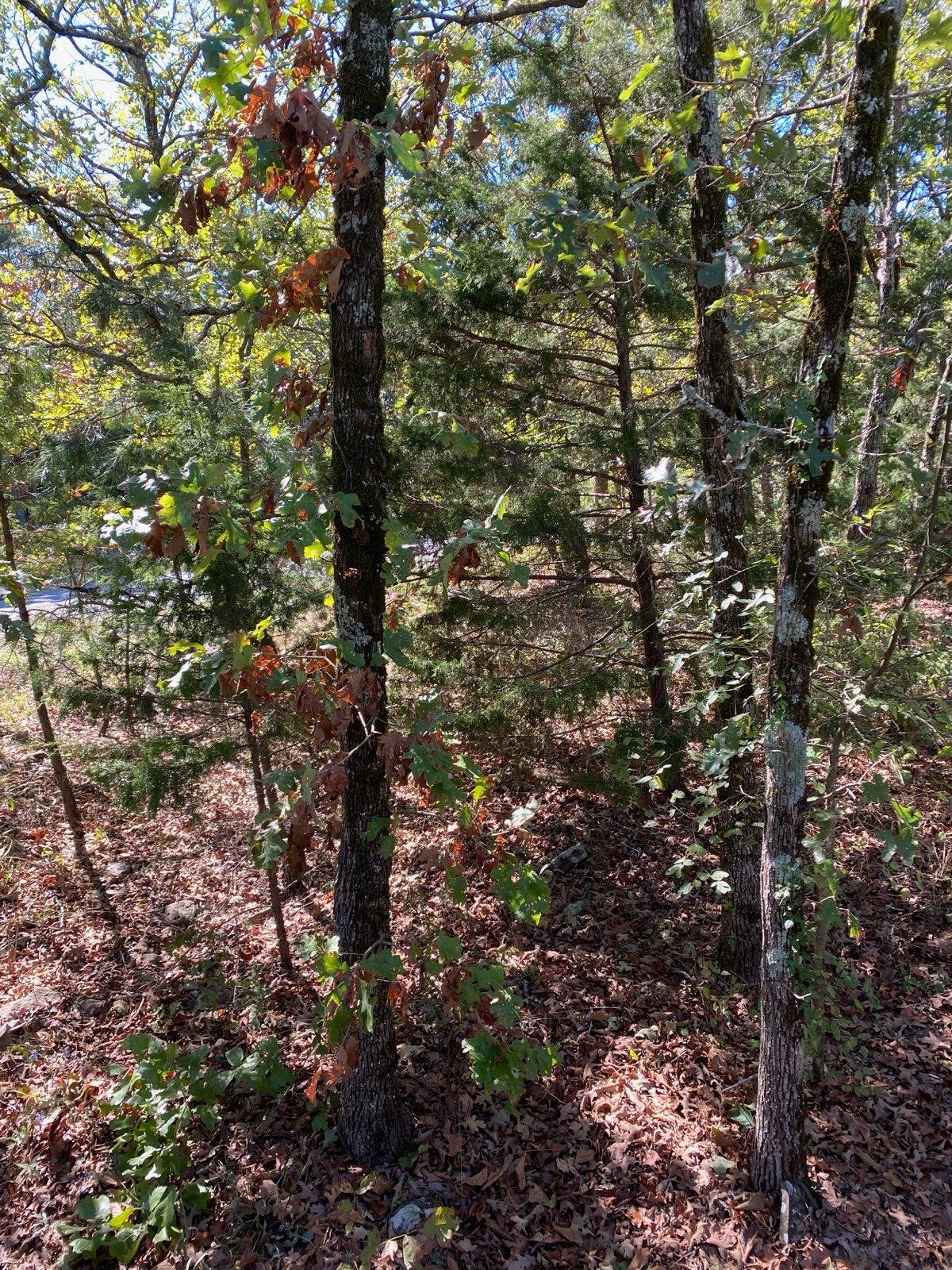 Photo 5 of 15 of land for sale at 14622 S.E 180th Rd, Talihina, OK 74571