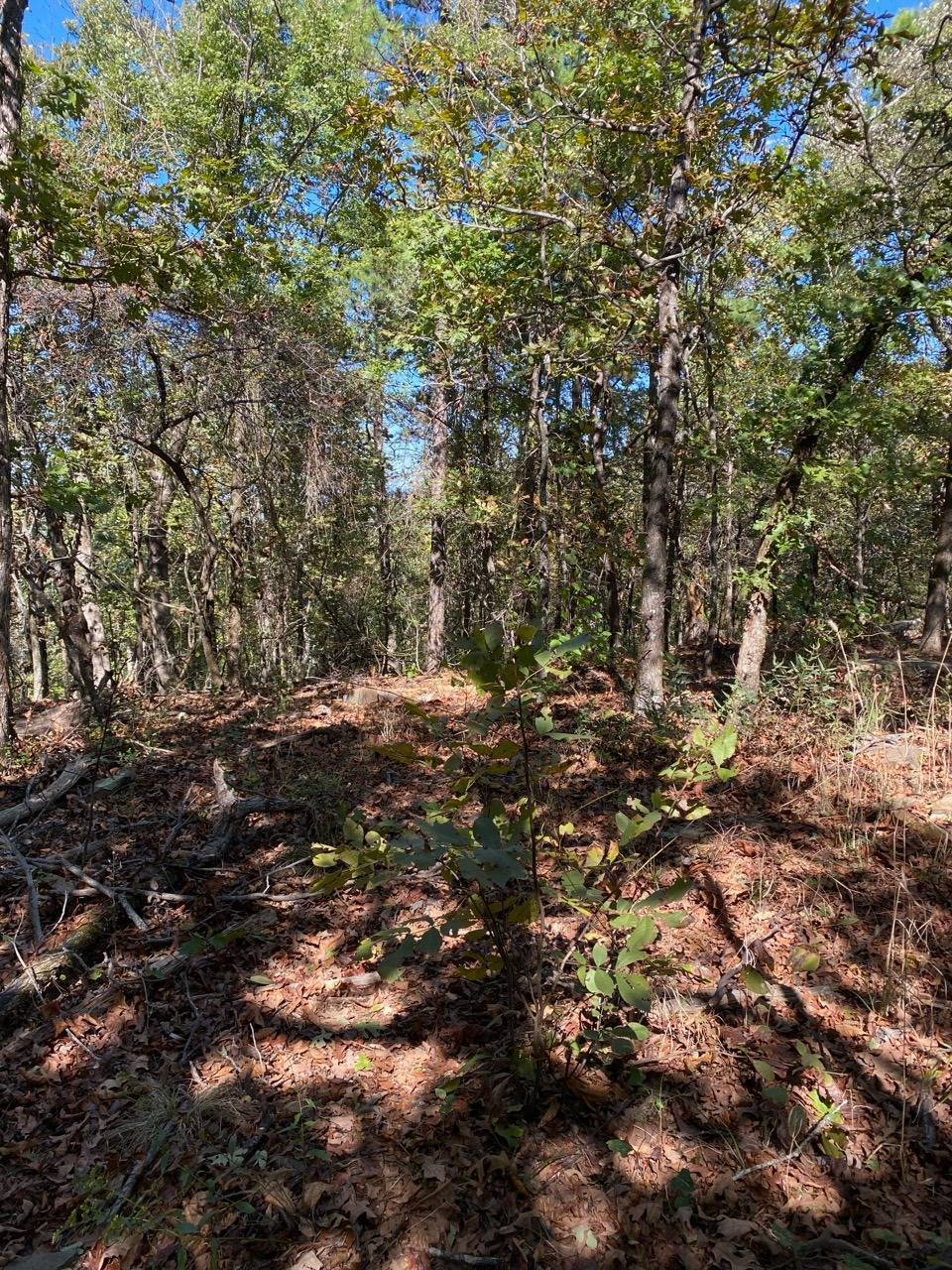 Photo 2 of 15 of land for sale at 14622 S.E 180th Rd, Talihina, OK 74571