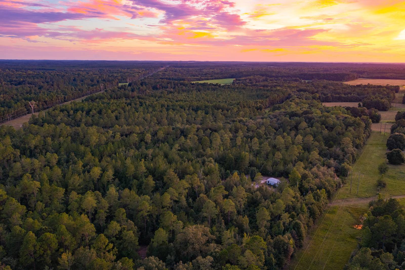 62-Acre Hunting Land for Sale, Geneva County, AL, photo 3 of 54