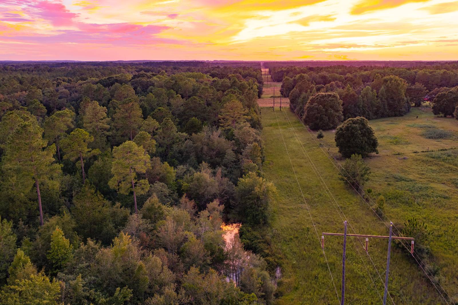 62 acres in Geneva County, AL: hunting land for sale near Samson, AL