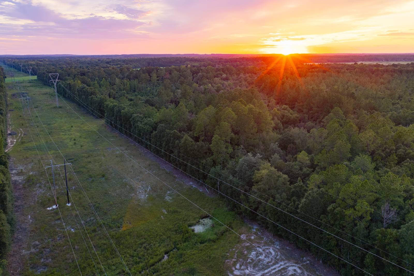 62-Acre Hunting Land for Sale, Geneva County, AL, photo 2 of 54