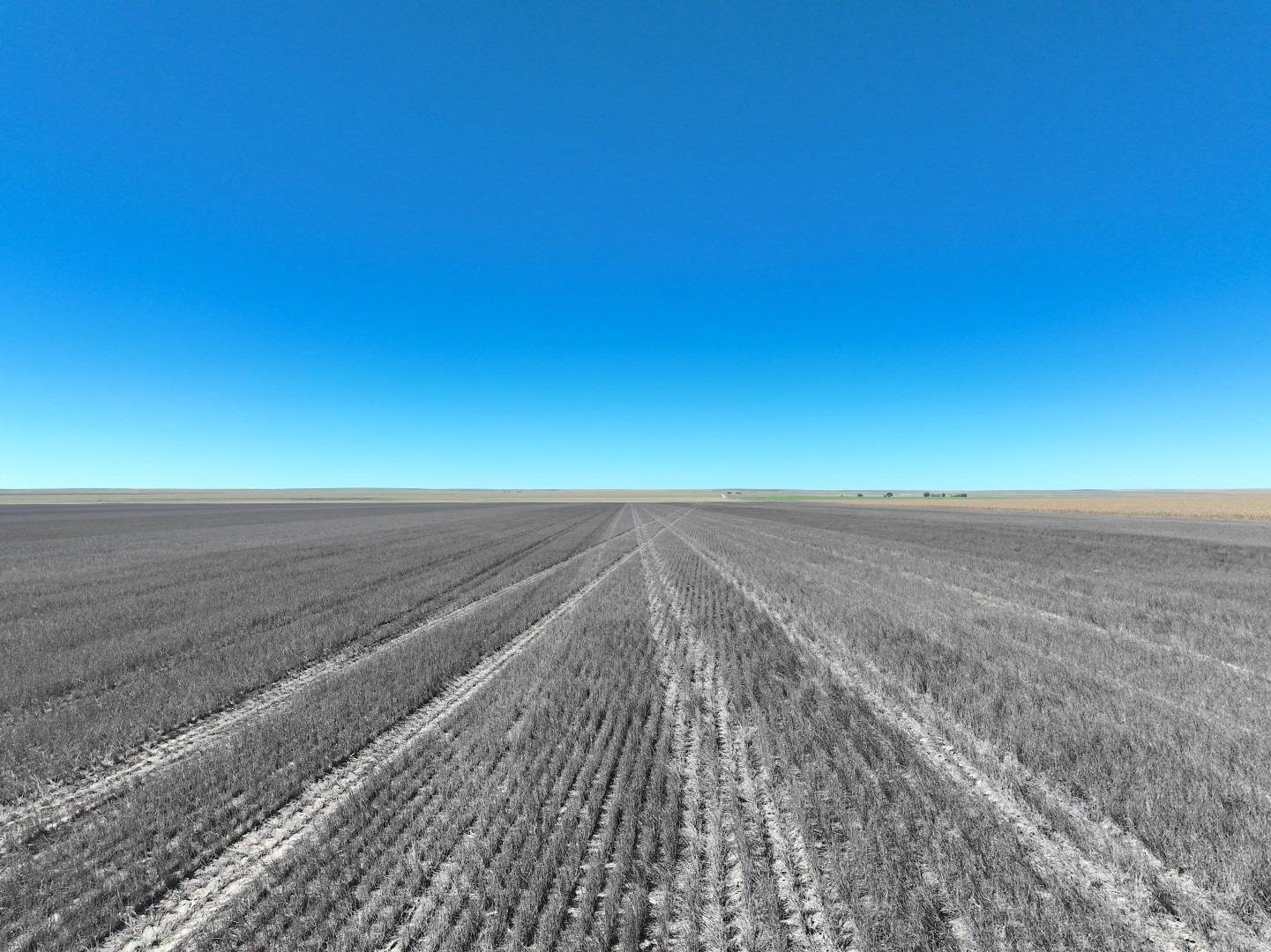 Photo 5 of 11 of land for sale at 000 Tumbleweed, Sharon Springs, KS 67758