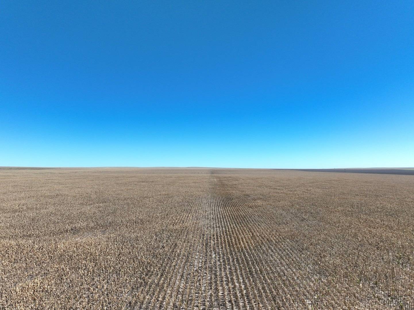 Photo 1 of 11 of land for sale at 000 Tumbleweed, Sharon Springs, KS 67758