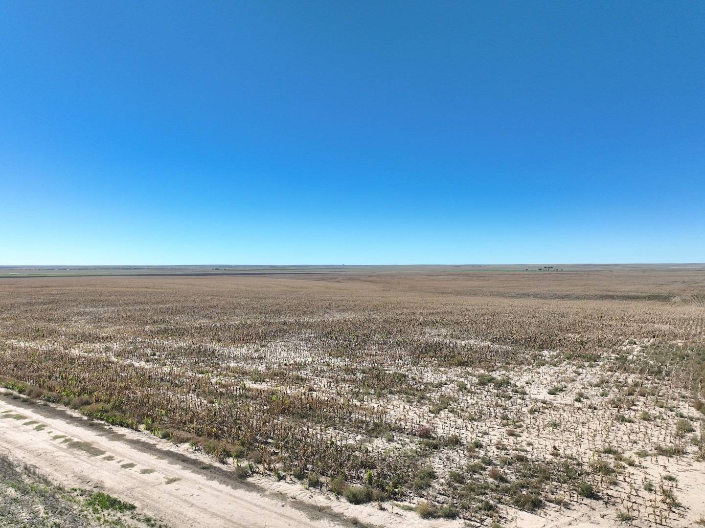 Photo 4 of 11 of land for sale at 000 Tumbleweed, Sharon Springs, KS 67758
