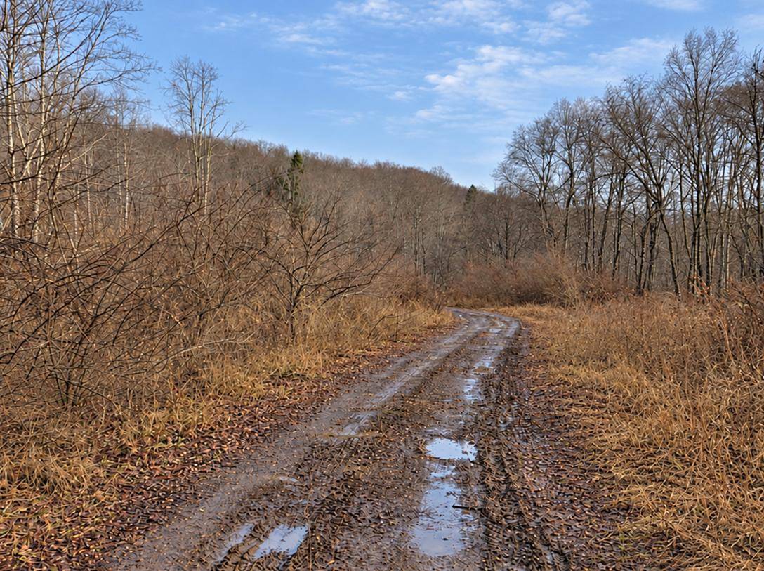 Photo 1 of 23 of land for sale at 2536 Coggins Knob Road, Quinwood, WV 25981