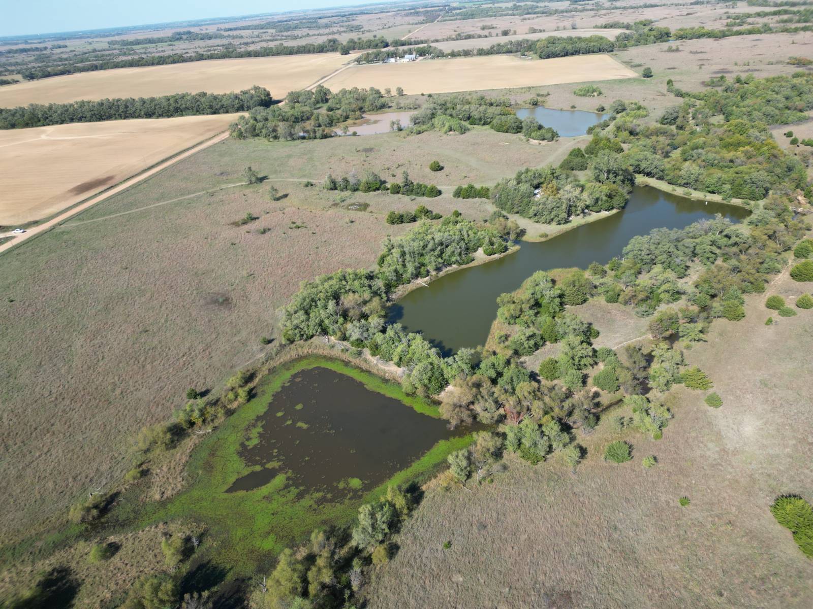 Photo 5 of 46 of land for sale at 6754 SE 60 Avenue, Kingman, KS 67068