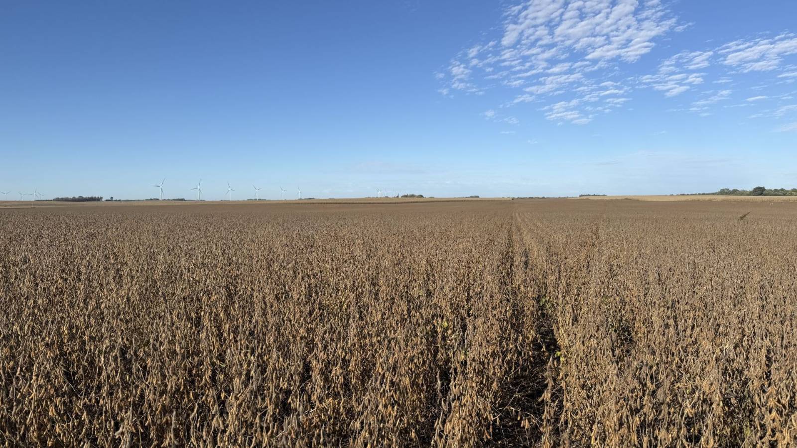Photo 1 of 9 of land for sale at 1 Wilson Ave, Harris, IA 51345