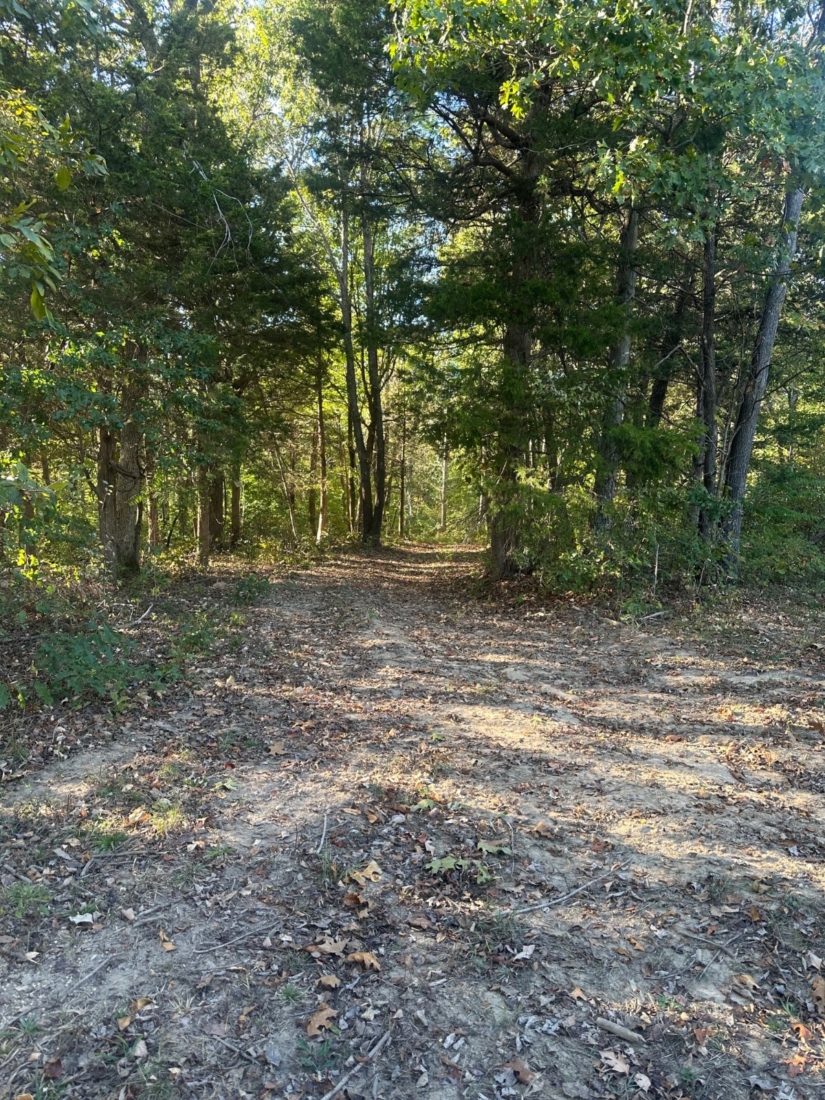01 Silver City Huntsville Rd