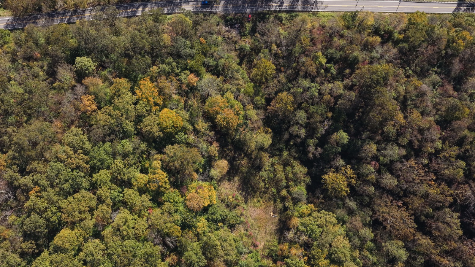 97.1 acres in Gilmer County, WV: hunting land for sale near Burnsville, WV