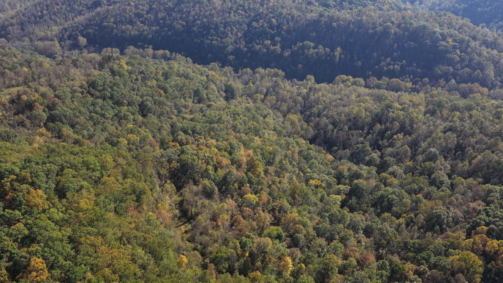 97.1-Acre Hunting Land for Sale, Gilmer County, WV, photo 2 of 11