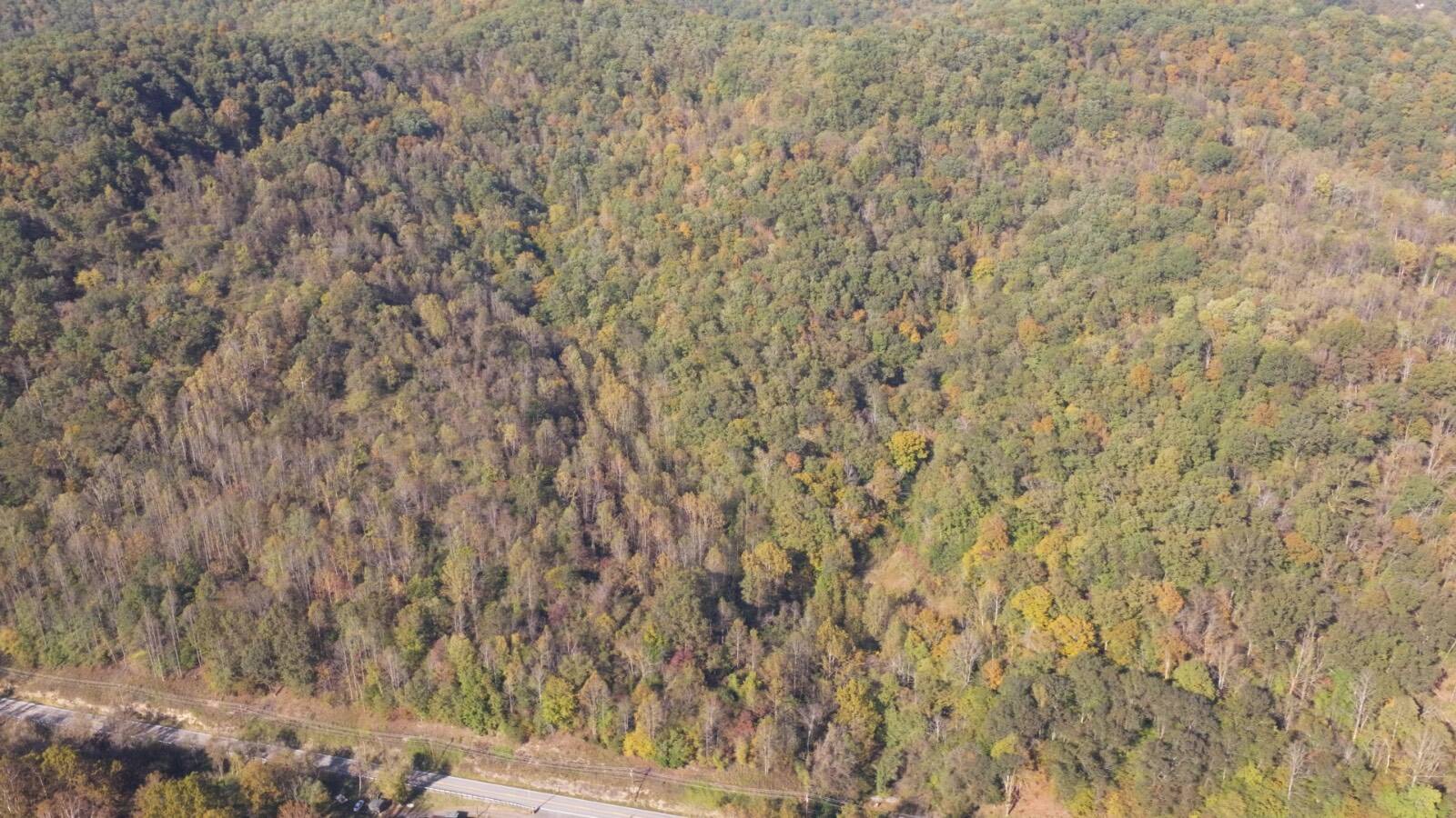 97.1-Acre Hunting Land for Sale, Gilmer County, WV, photo 3 of 11
