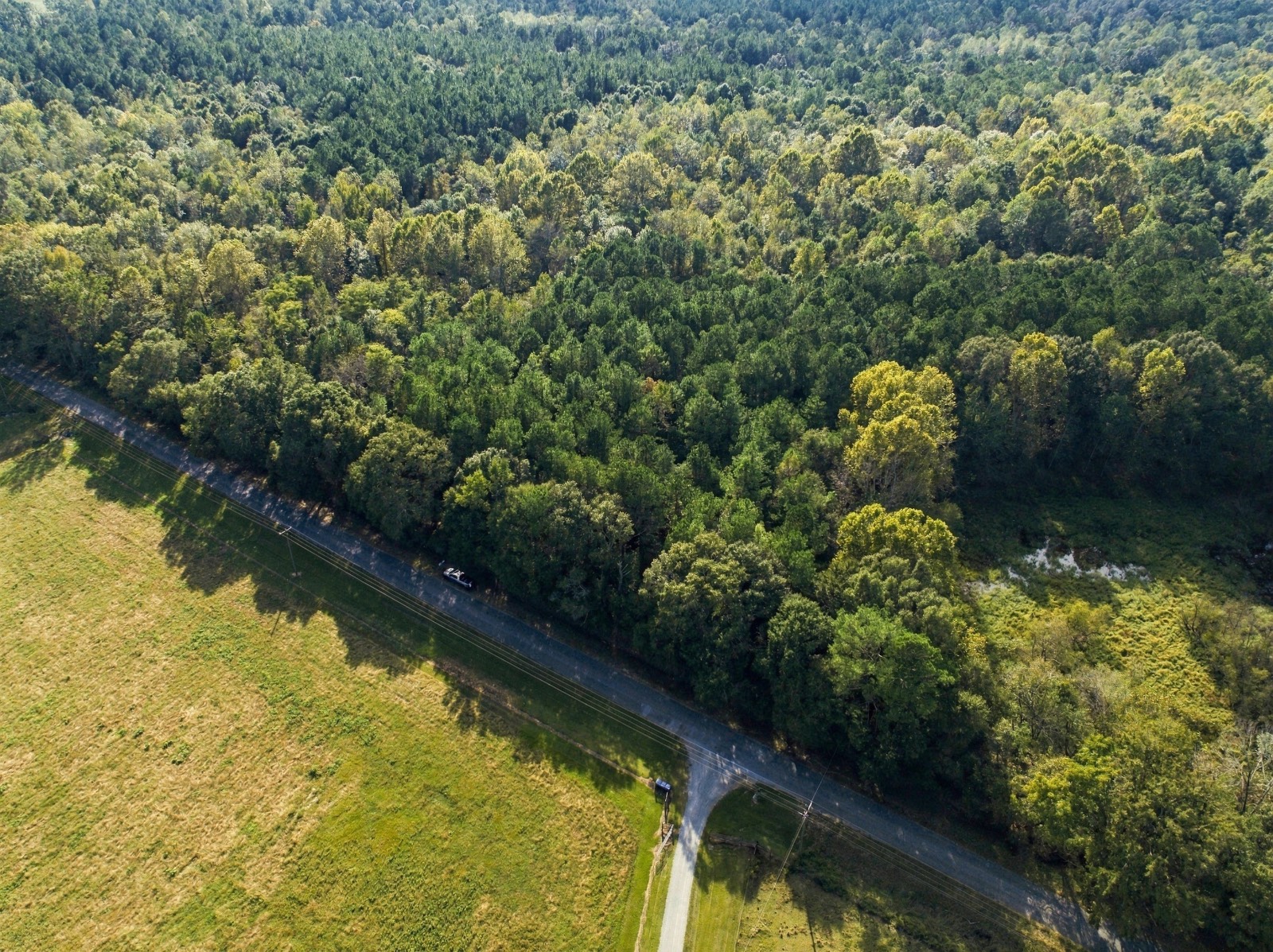 139 acres in Pike County, AL: hunting land for sale near Glenwood, AL